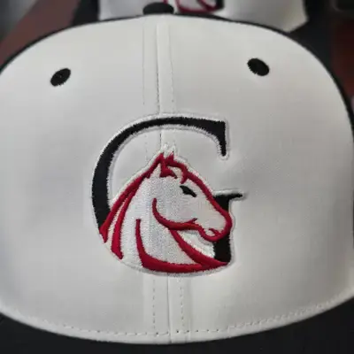 Horse Logo Hat